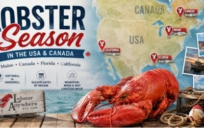 lobster season in the USA and Canada