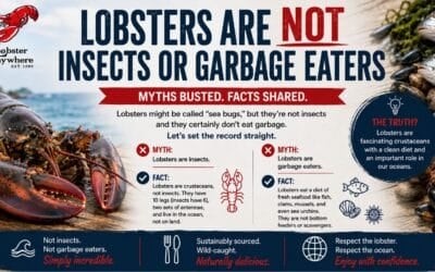 Lobsters are not insects or garbage eaters