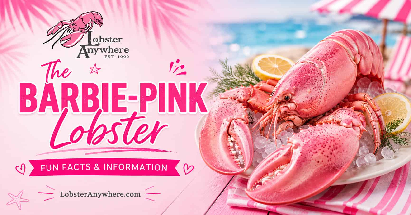 the barbie-pink bubble gum lobster