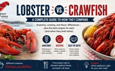 the differences between lobsters and crawfish