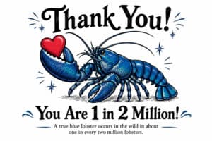 Thank You E-Card